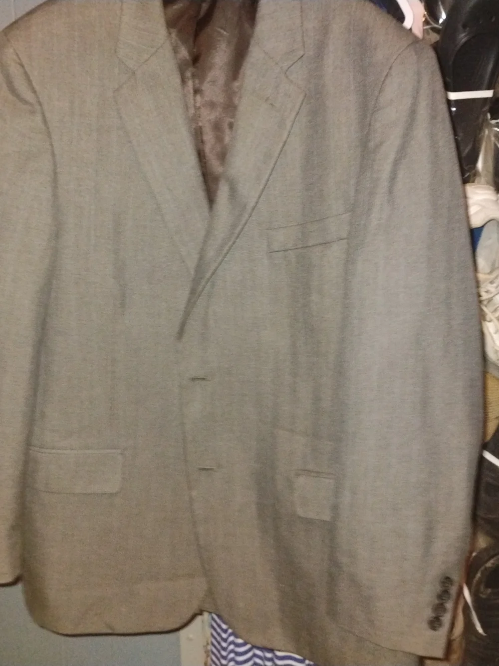 Men's Light Gray Two-Button Suit Jacket